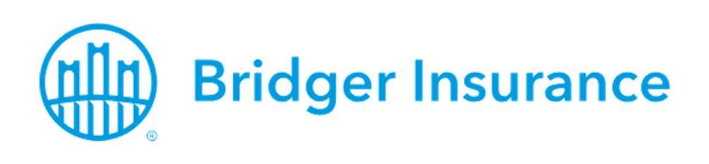 bridge insurance